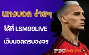 แทงบอล ง่ายๆ